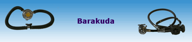 Barakuda