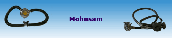 Mohnsam