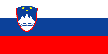 flag_SI